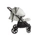 Duet Mountain Buggy